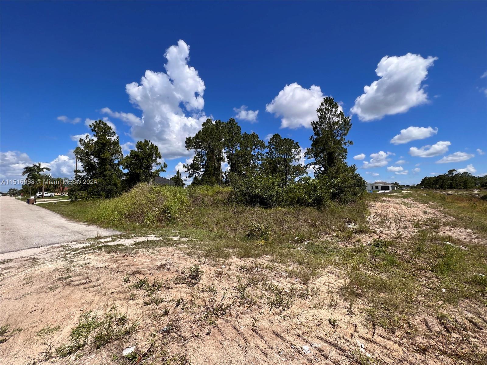 Lehigh Acres - Land