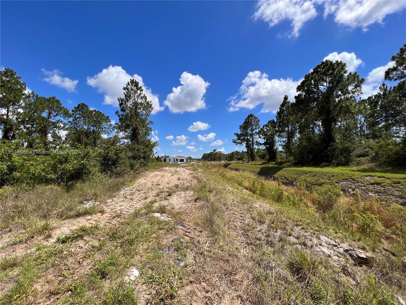Lehigh Acres - Land