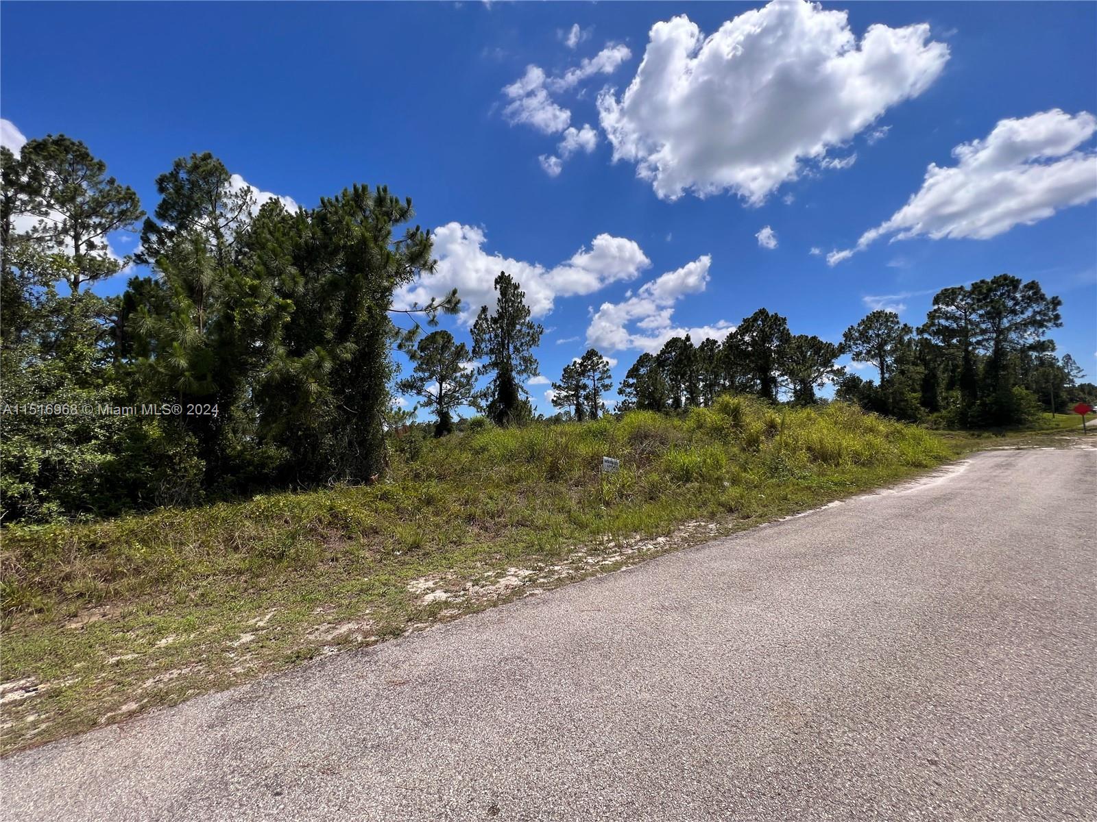 Run to build your dream home in this lot located in Lehigh Acres.  offers must be submitted by the Buyer's agent via the Agent Portal. If your offer is accepted, you agree to be responsible for an offer submission technology fee of $150.00. The fee will be collected and disbursed by the settlement agent and disbursed at the closing and settlement of the transaction. Read broker remarks