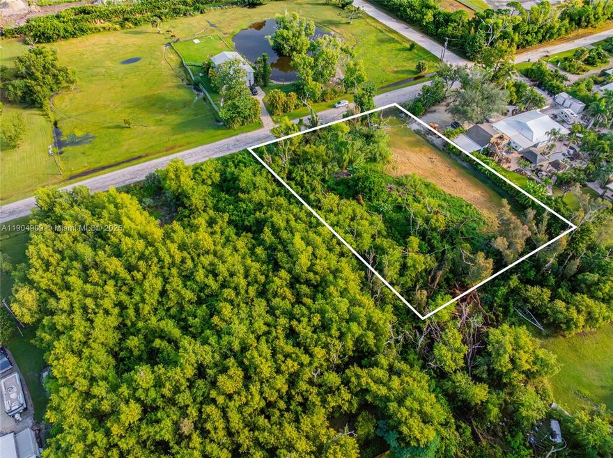 Discover the perfect balance of privacy and island living on this nearly 1-acre lot (175x234) in Pine Island. Enjoy a peaceful tropical setting just minutes from Cape Coral and Fort Myers. The property is partially cleared and ready for development. City water is available, and there are no HOA fees. Conveniently located near Pine Island Center for shopping, dining, and daily needs. Multiple nearby boat ramps and marinas provide easy access to boating and fishing. Ideal for building a personal retreat or investment property. Approx. Lot Size: 175x234.