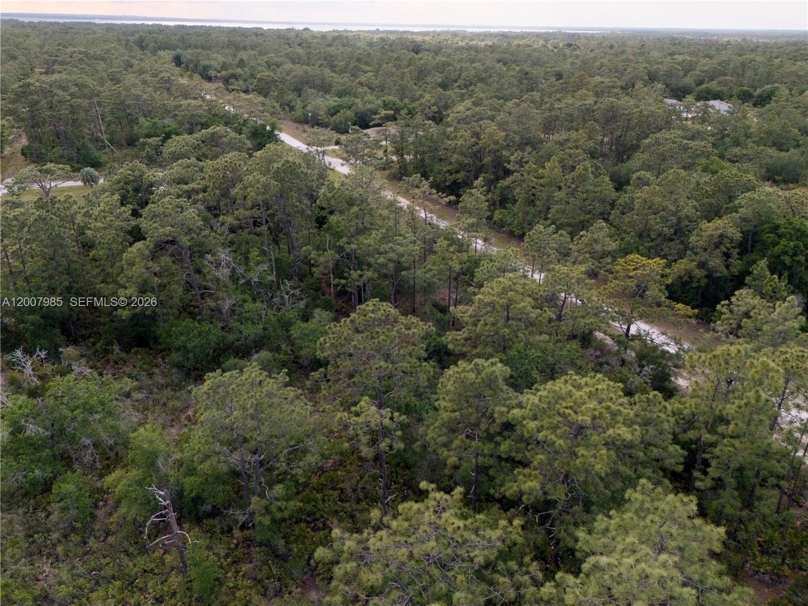 INDIAN LAKE ESTATES - Land