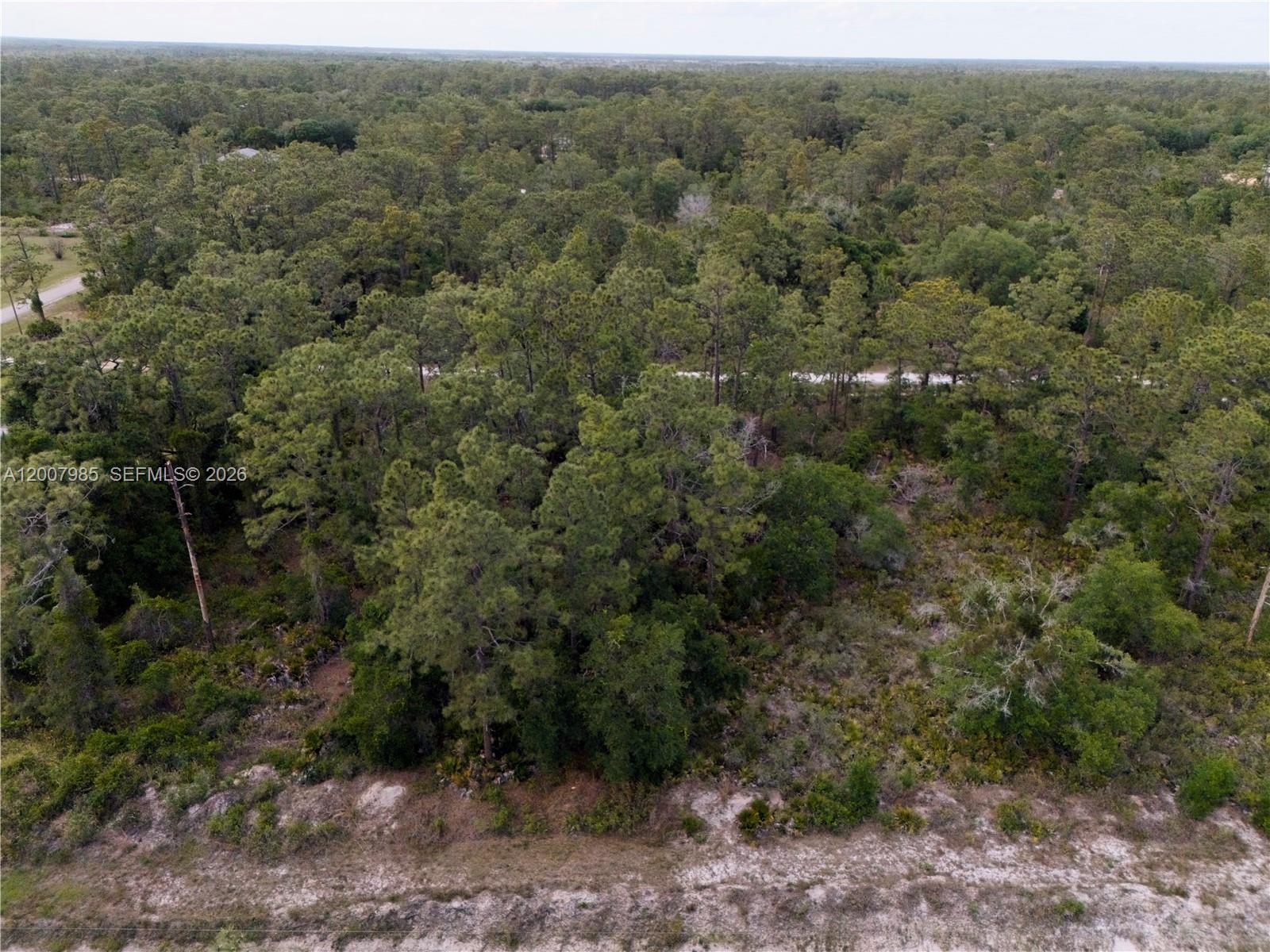 INDIAN LAKE ESTATES - Land