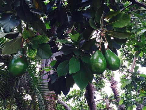 Tiny photo for 5750 SW 52nd Ter, South Miami, FL 33155 (MLS # A12006584)