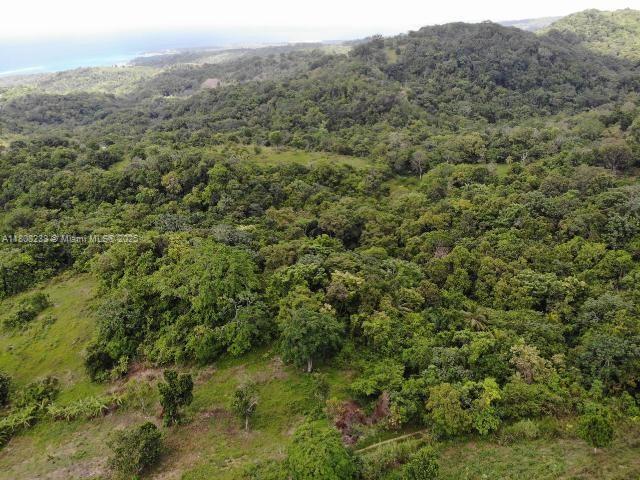 A rare opportunity to own over 70 acres of breathtaking ocean view land in the highly sought-after parish of St. Ann. Perfectly suited for a centrally located gated residential community, this prime property is ideally positioned next to the renowned Richmond Estates—offering even more stunning panoramic views.
Strategically located just 1.5 hours from both Kingston and Montego Bay international airports, Tanglewood offers convenience, beauty, and unmatched potential.
The seller is highly motivated and open to all reasonable offers—don’t miss your chance to secure this exceptional development opportunity.