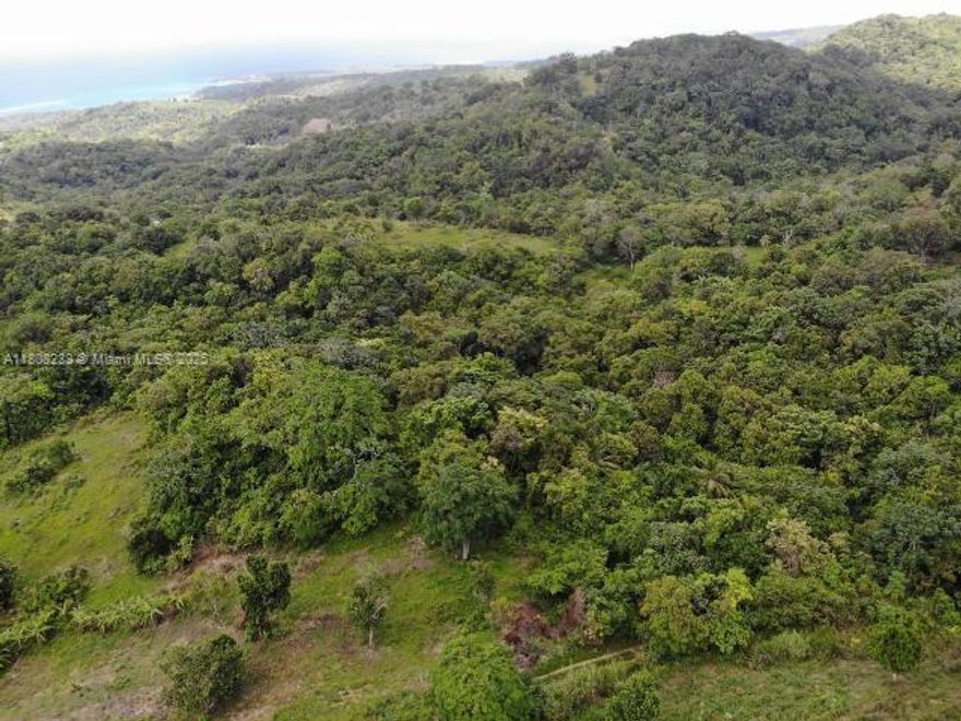 A rare opportunity to own over 70 acres of breathtaking ocean view land in the highly sought-after parish of St. Ann. Perfectly suited for a centrally located gated residential community, this prime property is ideally positioned next to the renowned Richmond Estates—offering even more stunning panoramic views.

Strategically located just 1.5 hours from both Kingston and Montego Bay international airports, Tanglewood offers convenience, beauty, and unmatched potential.

The seller is highly motivated and open to all reasonable offers—don’t miss your chance to secure this exceptional development opportunity.