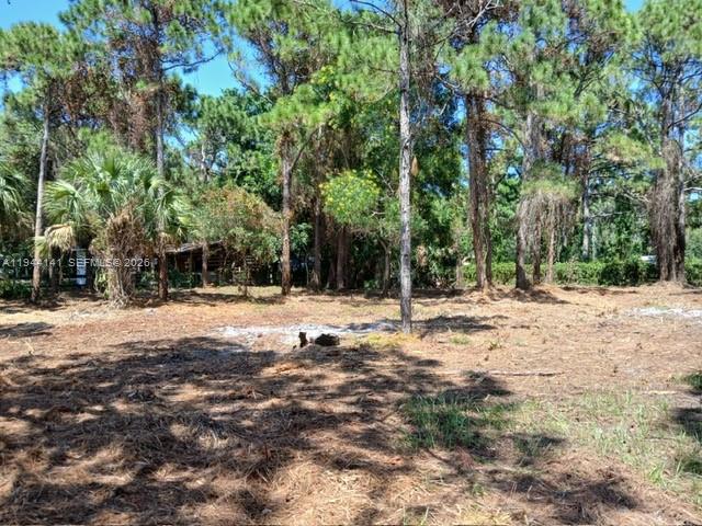 PORT ST LUCIE SECTION 40 - Land
