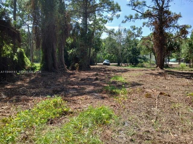 PORT ST LUCIE SECTION 40 - Land