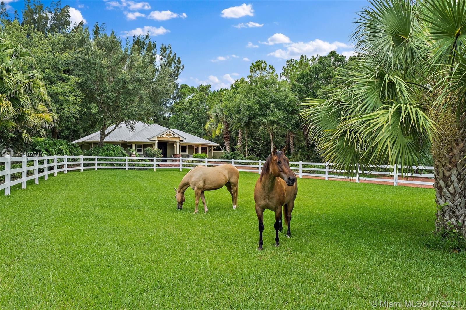PALM CITY FARMS - Residential