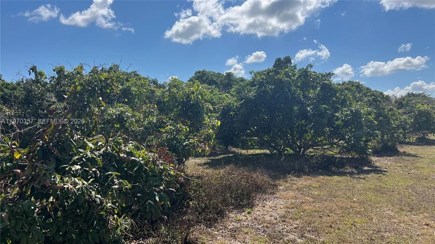 Rare opportunity to own 5 acres in the heart of Homestead, surrounded by growth yet offering privacy and space to build your dream estate. The property is abundant with mature fruit trees, creating natural beauty and potential agricultural income from day one. Ideal for a custom home, family compound, or investment hold, with room for additional structures, gardens, or recreational use. Large parcels in this prime location are increasingly hard to find. Secure land today and build on your timeline while values continue to appreciate.