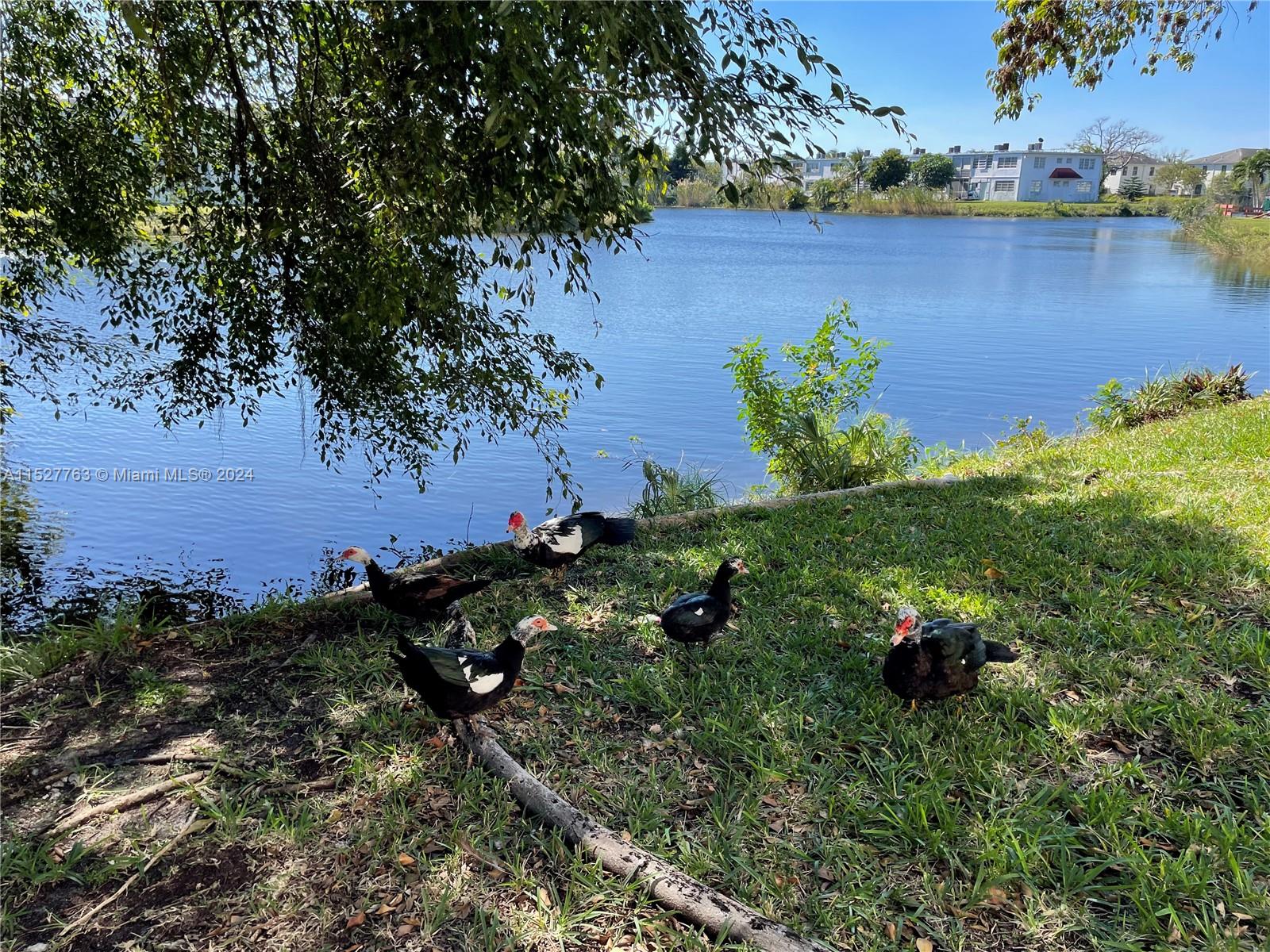 RO-MONT SOUTH CONDO E - Residential