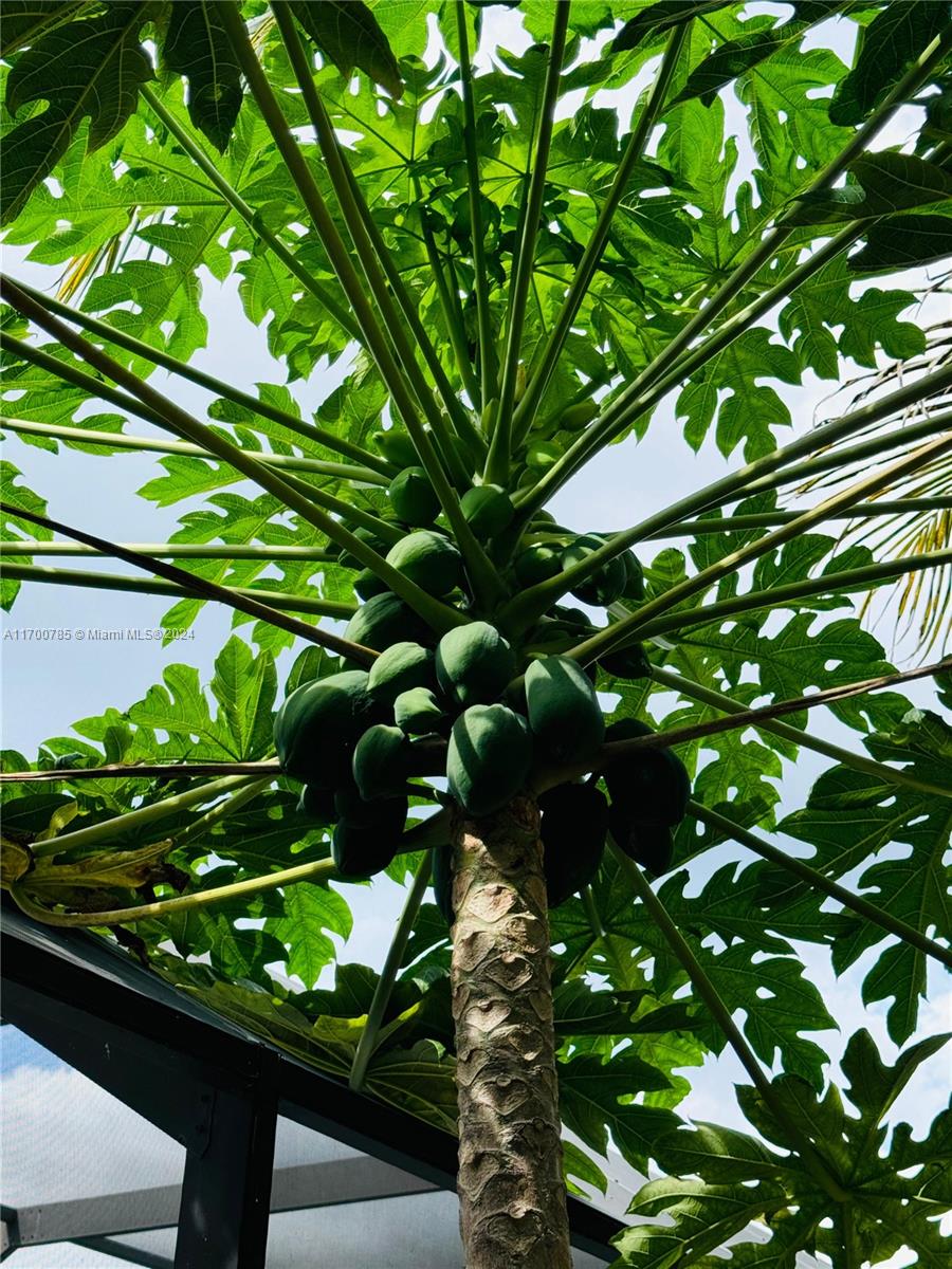 Port St Lucie Floresta Pin - Residential