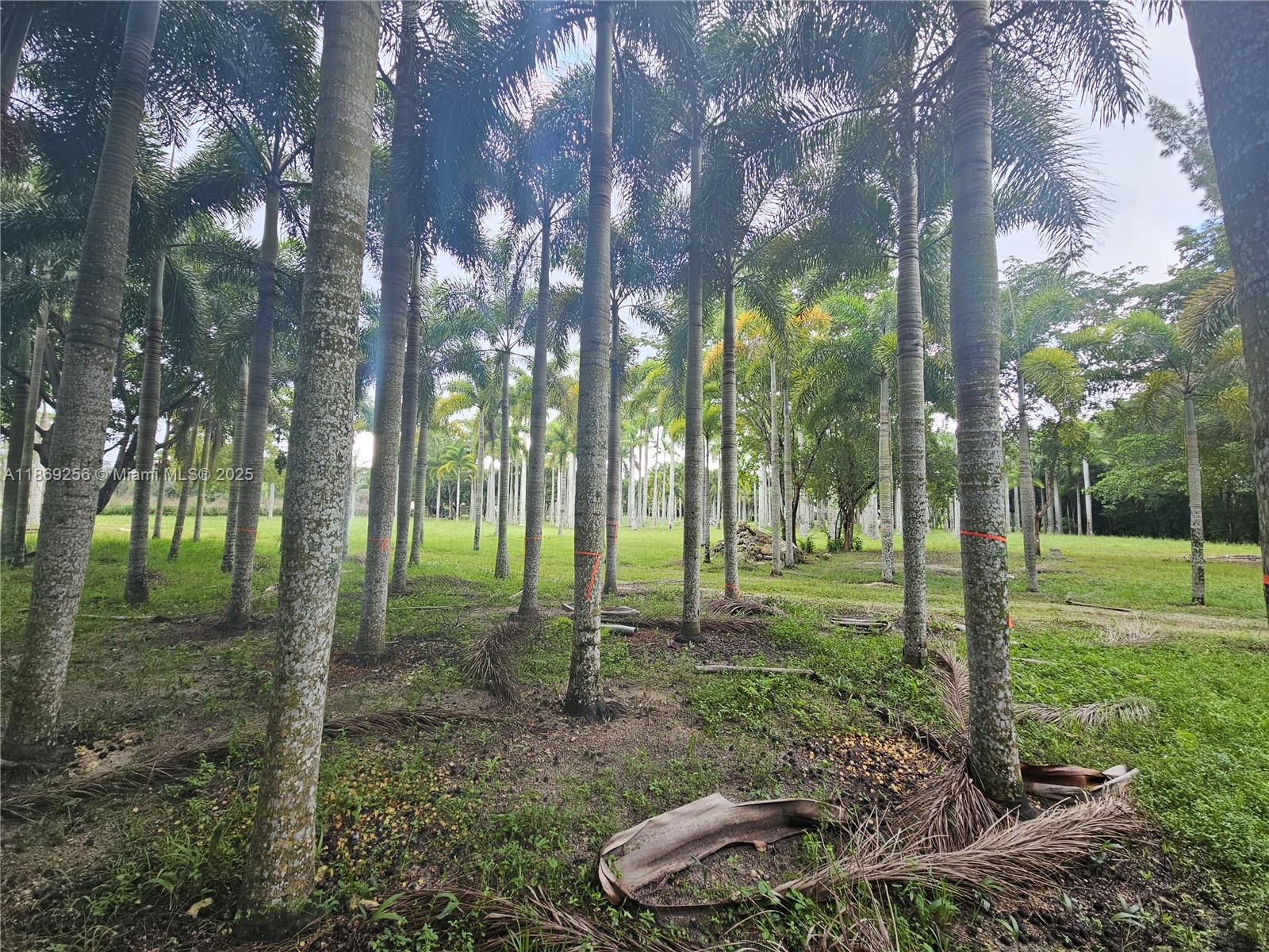 FLA FRUIT LANDS CO SUB NO - Residential Lease