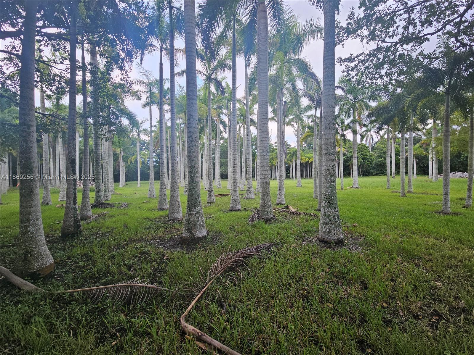 FLA FRUIT LANDS CO SUB NO - Residential Lease