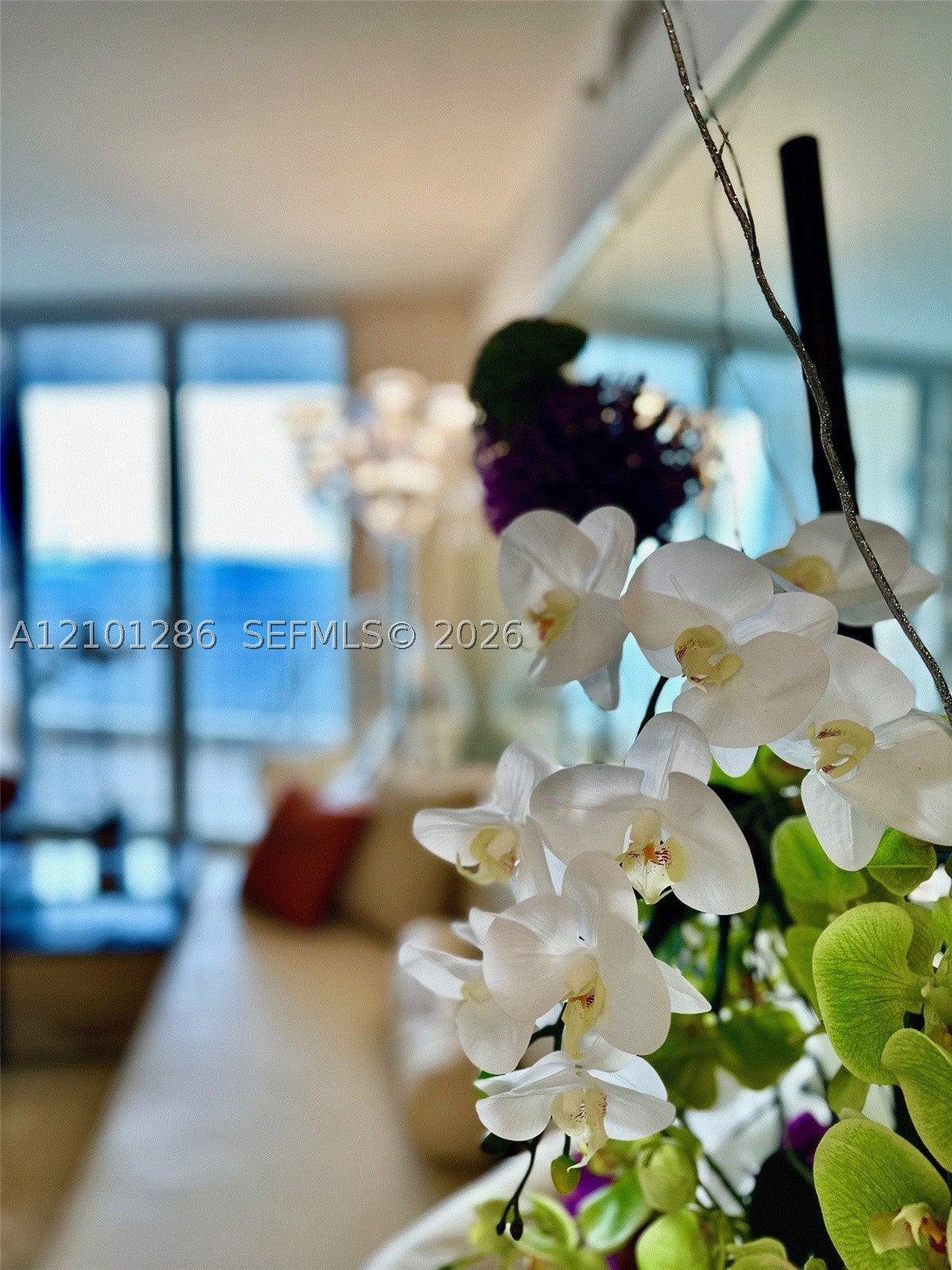 808 Brickell Key Dr 1106