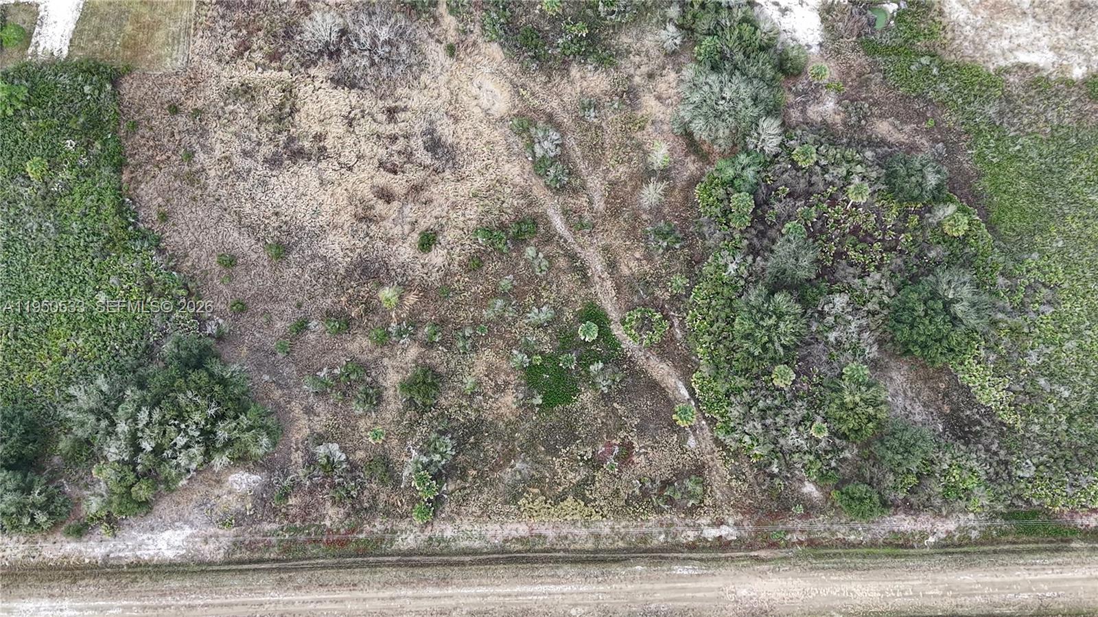 THE SOUTHERN COLONIZATION - Land