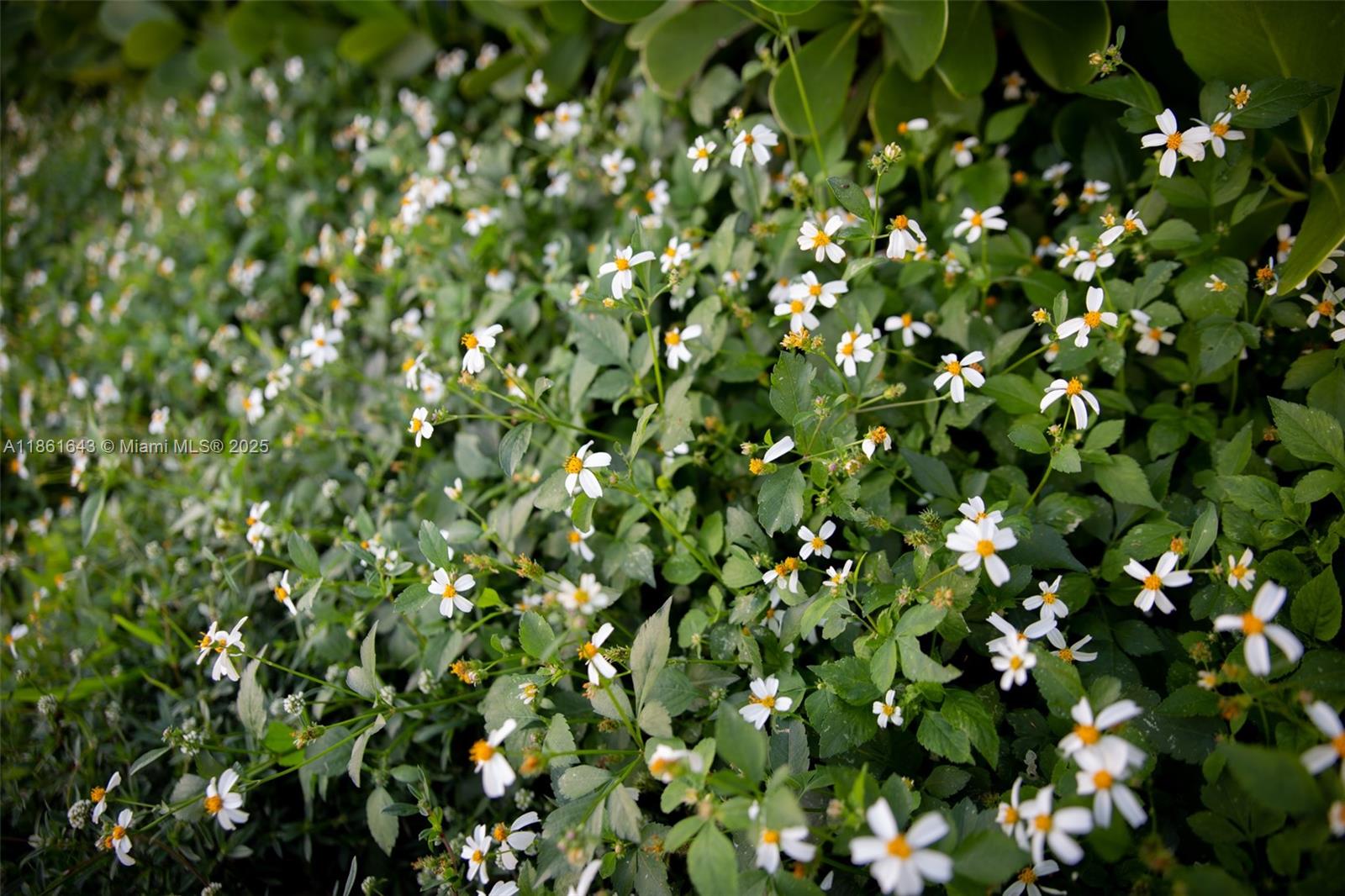 SPAR-RICH RESUB OF BLKS 2 - Residential