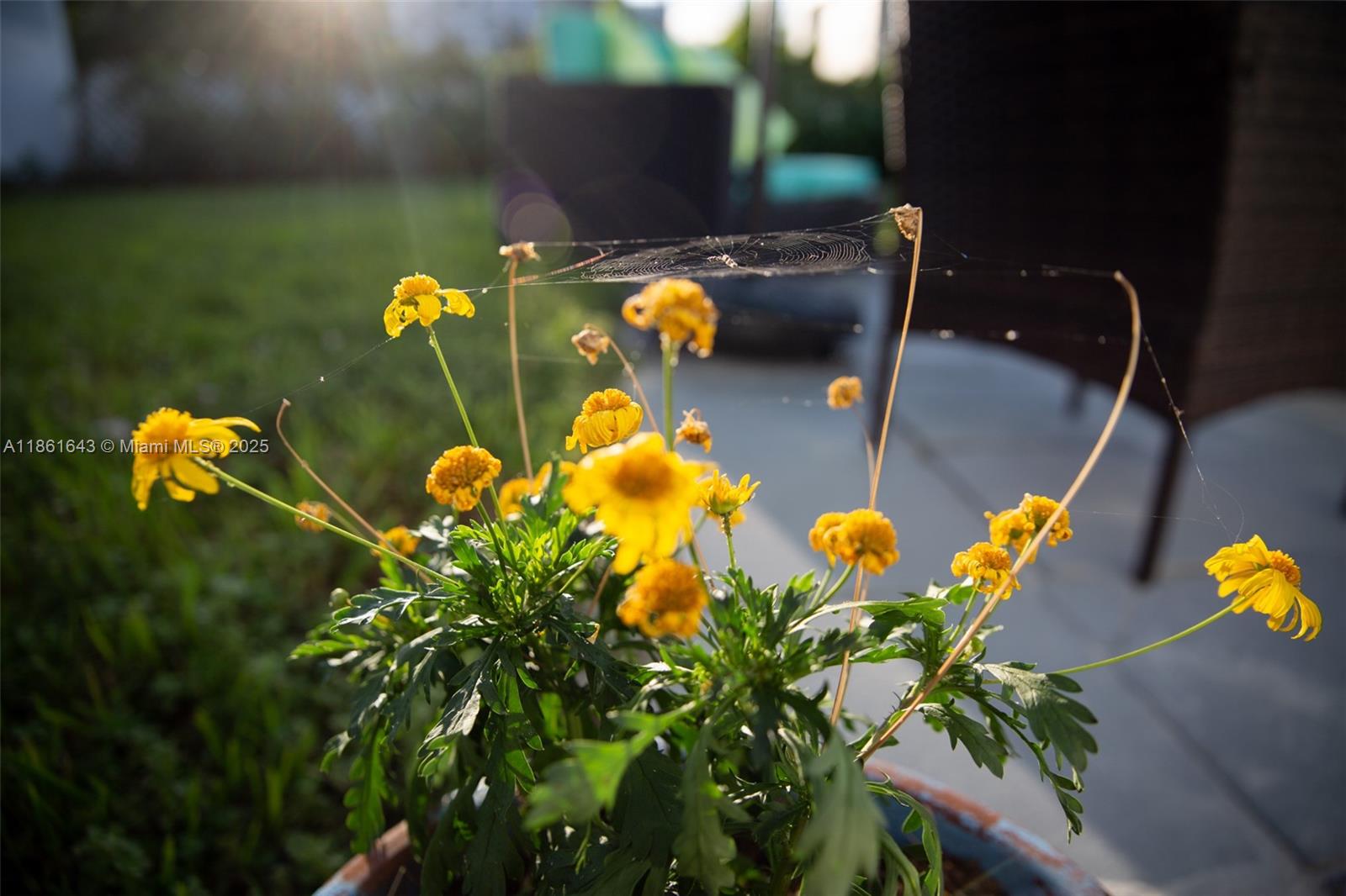 SPAR-RICH RESUB OF BLKS 2 - Residential