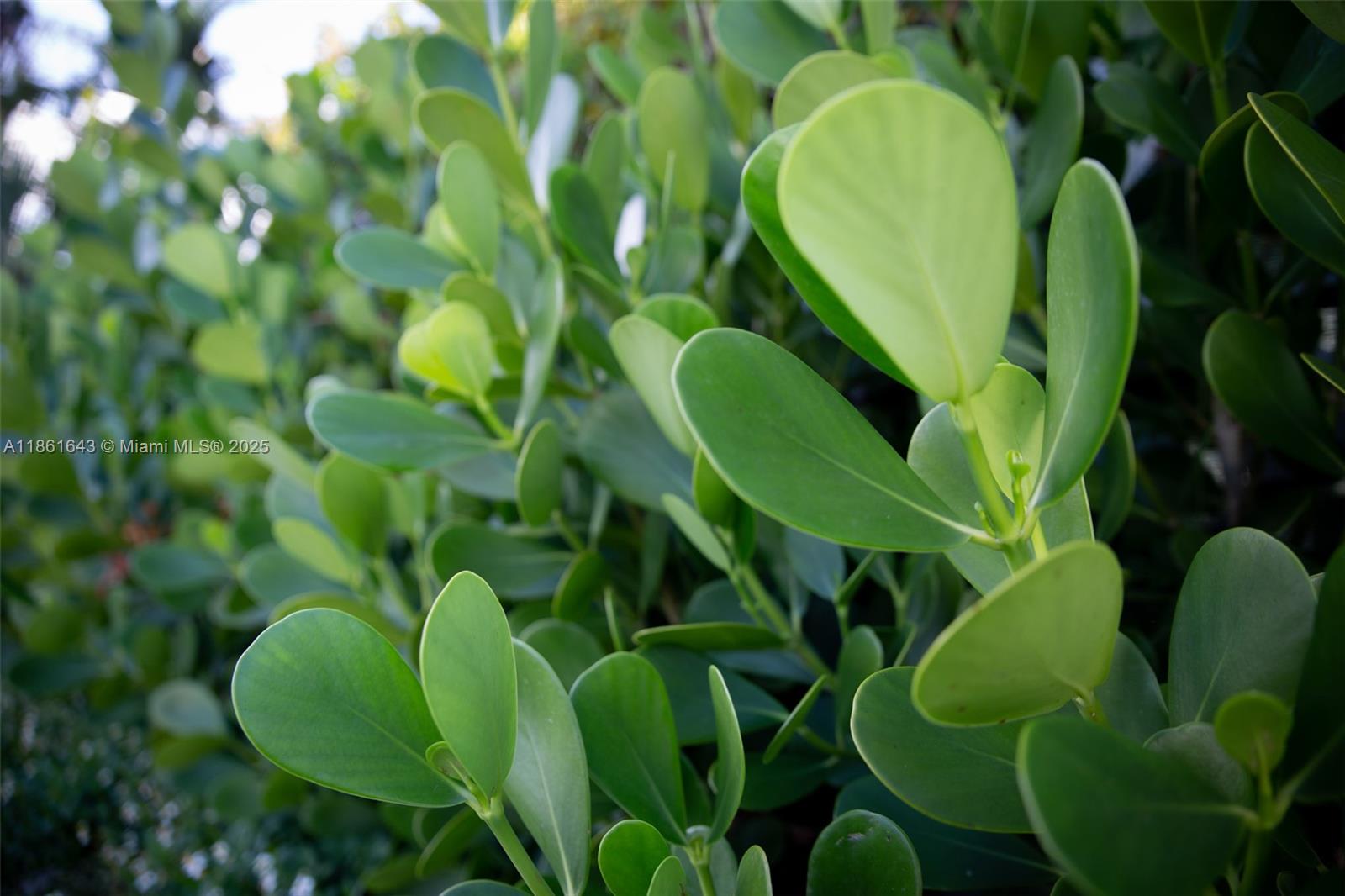 SPAR-RICH RESUB OF BLKS 2 - Residential