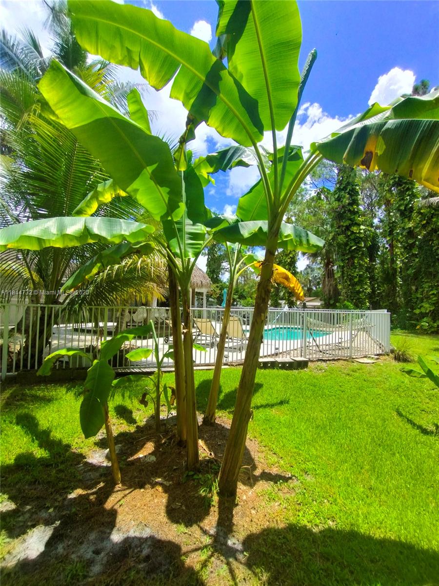 The Acreage - Residential