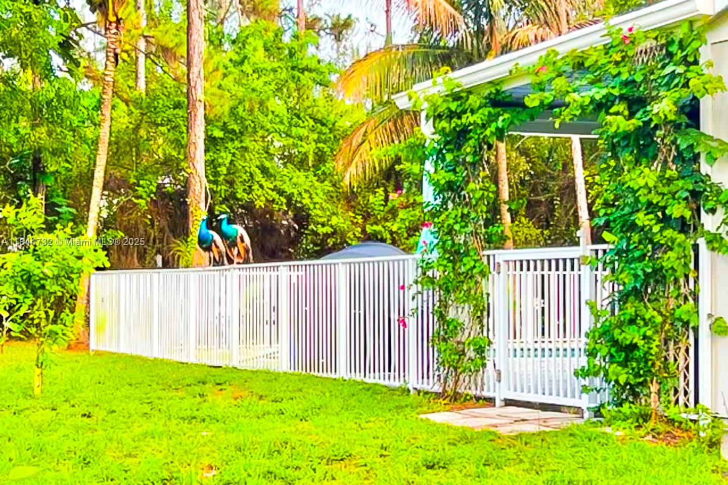 The Acreage - Residential