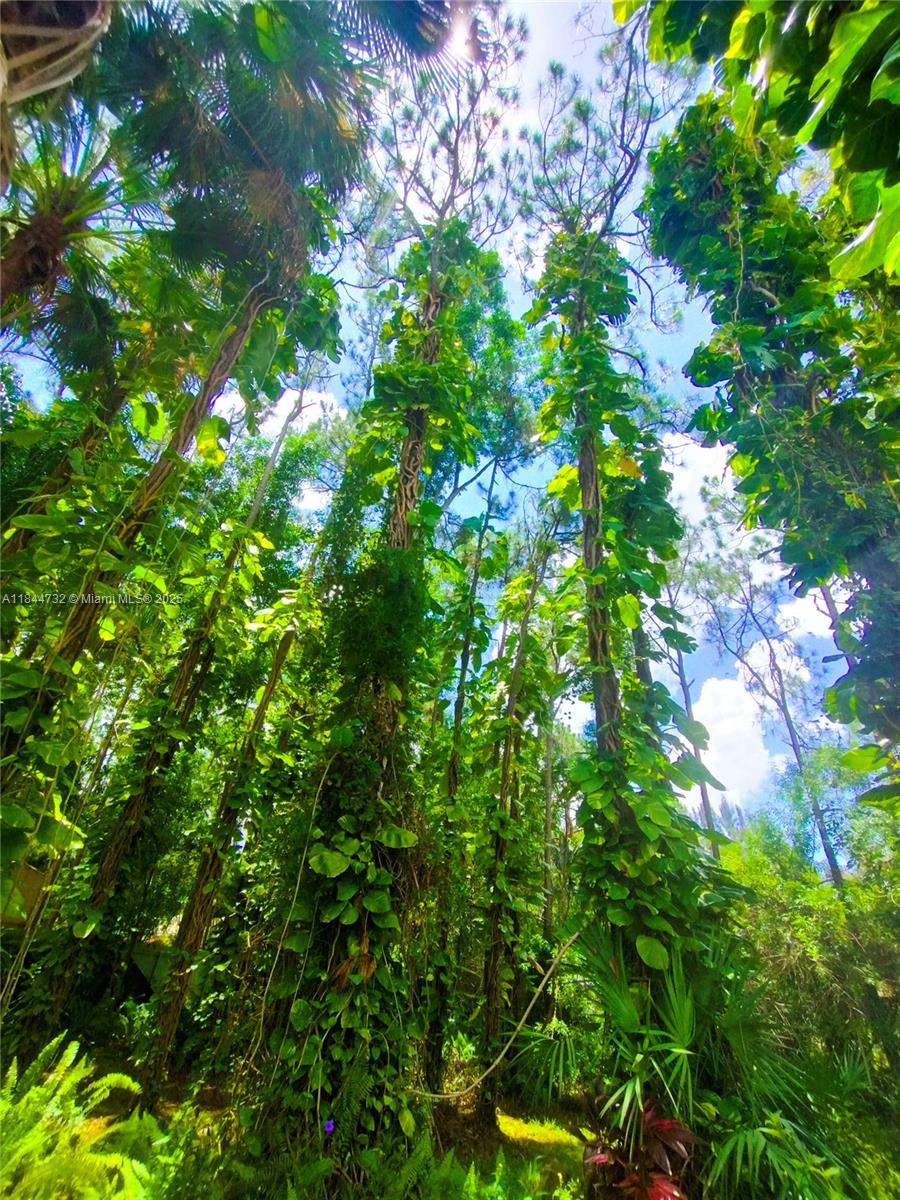 The Acreage - Residential