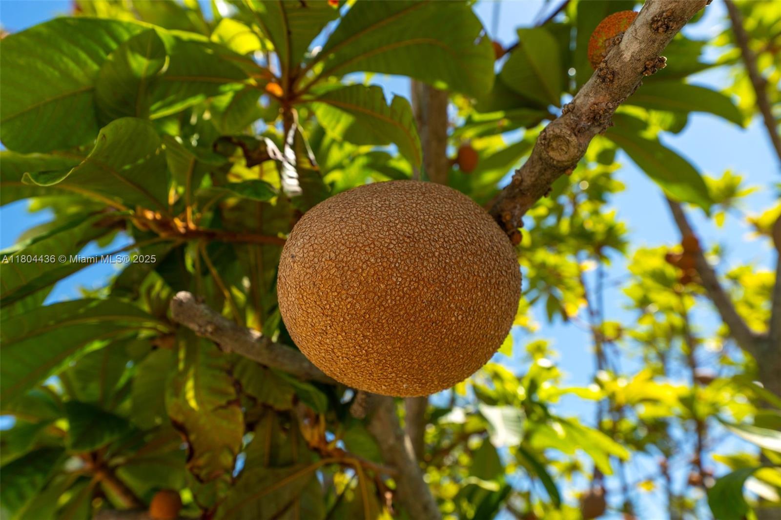 21 CENTURY HOMES 1 SEC - Residential