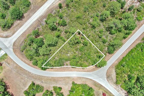 1104 S Naples Ave Lehigh Acres FL 33974