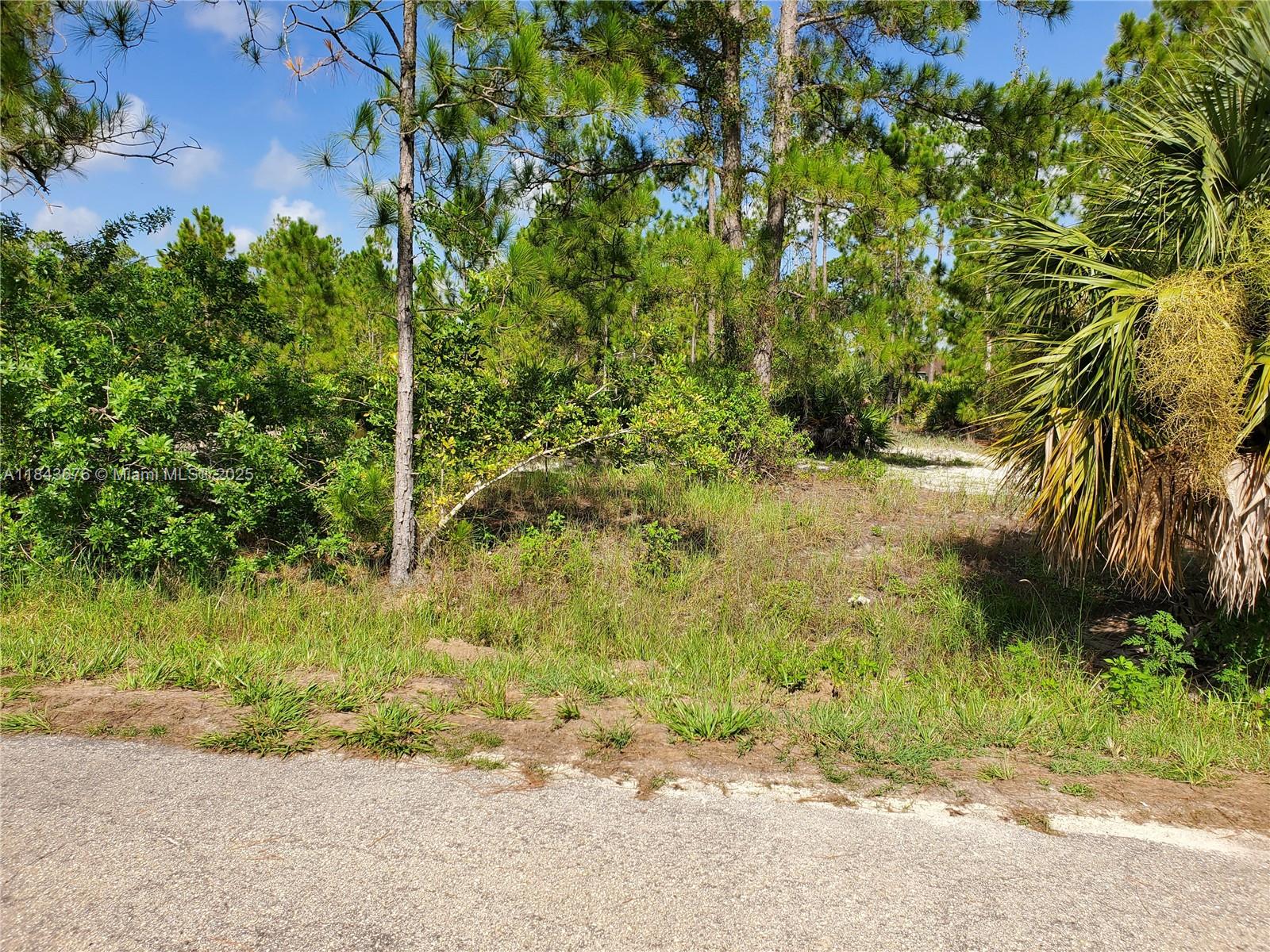 This 1/2-acre residential corner lot is truly an amazing diamond in the rough. Perfectly nestled in a cul-de-sac is really a breath of fresh air. Don't miss this opportunity to build your perfect and modern dream home. This huge lot beckons you to dream big. Let your imagination run wild in the pleasant and beautiful surroundings. This residential lot has no HOA, therefore no restrictions for you to build even a swimming pool. This blank canvas is ready for your masterpiece.