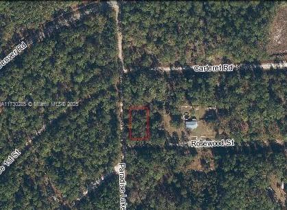Excellent piece of land in Putnam County Florida. It's an ever growing county. You can build a nice residential home on this land. You will likely need Well and septic. Neighboring homes are being built. OWNER FINANCING AVAILABLE. Call listing agent!