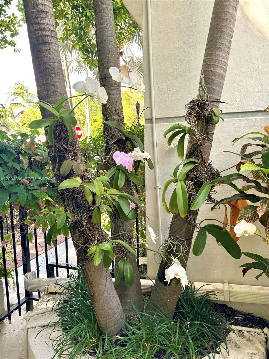 ENCLAVE ON SOUTH BEACH - Residential