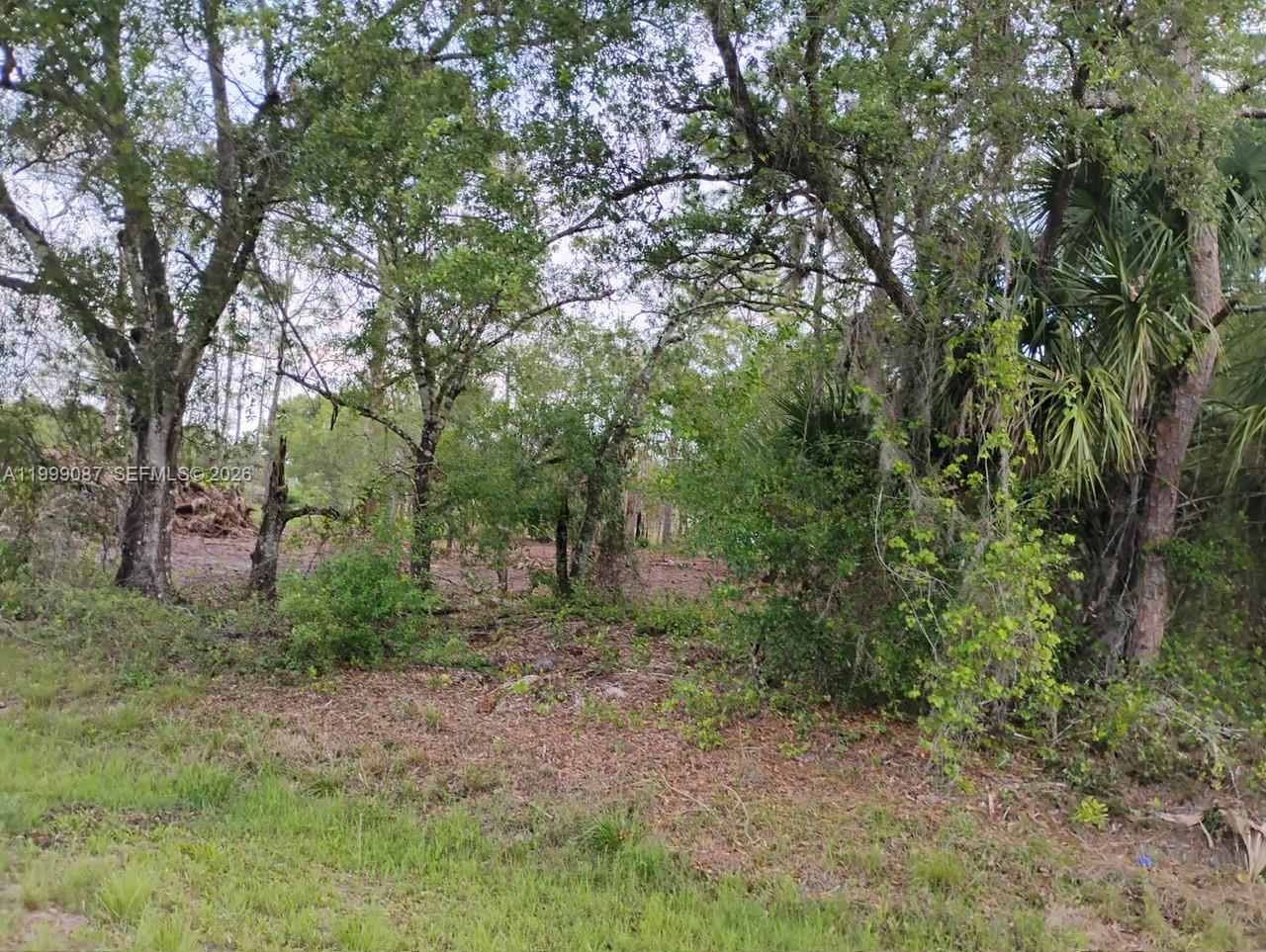 MONTURA RANCH UNREC SEC 3 - Land
