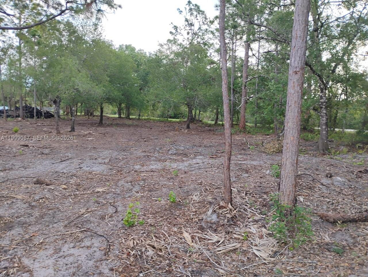 MONTURA RANCH UNREC SEC 3 - Land