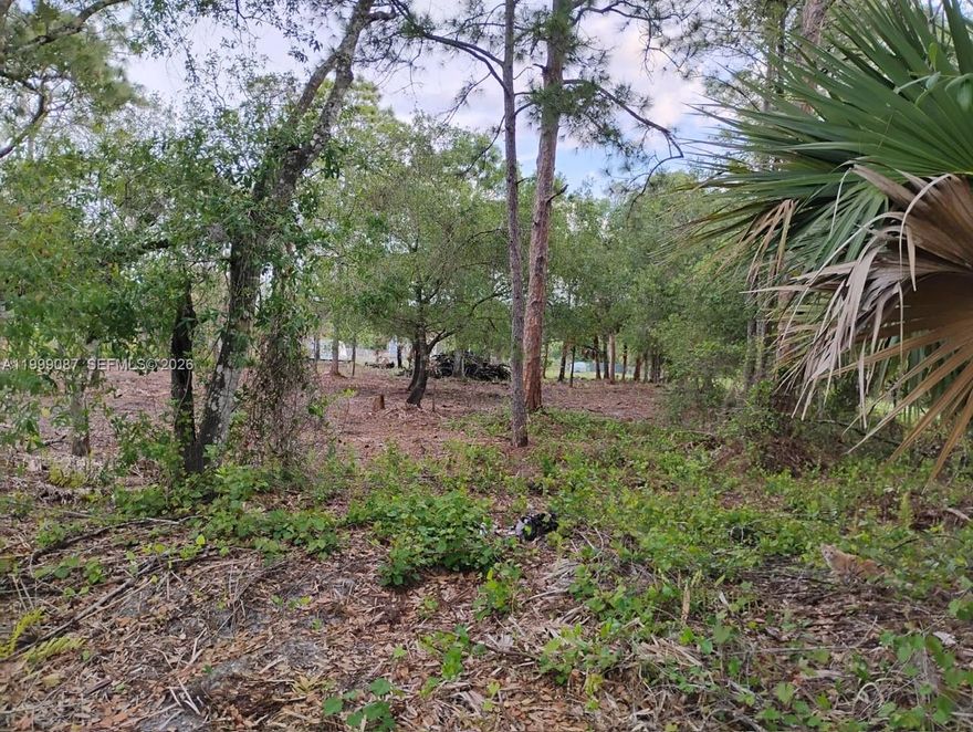 1.25-acre corner lot in this residential/farm & equestrian community of Montura Ranches.