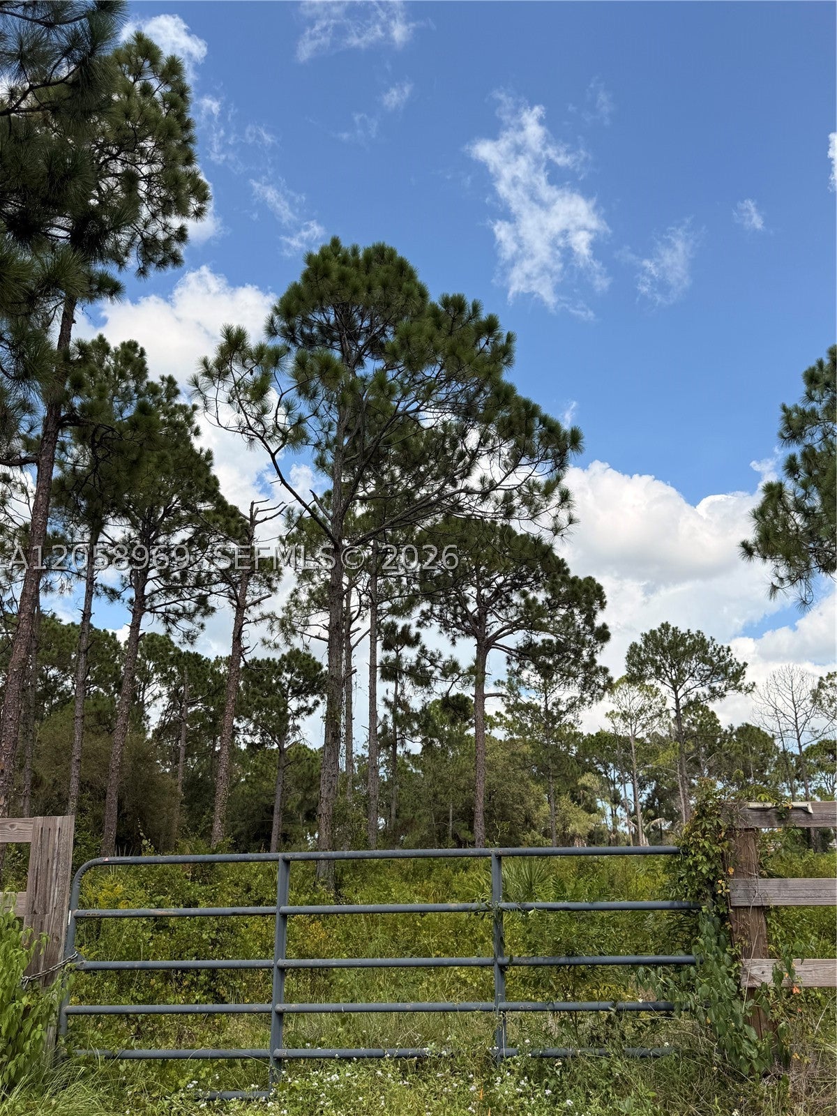 View photos, virtual tours, details... 365 N Zambria St