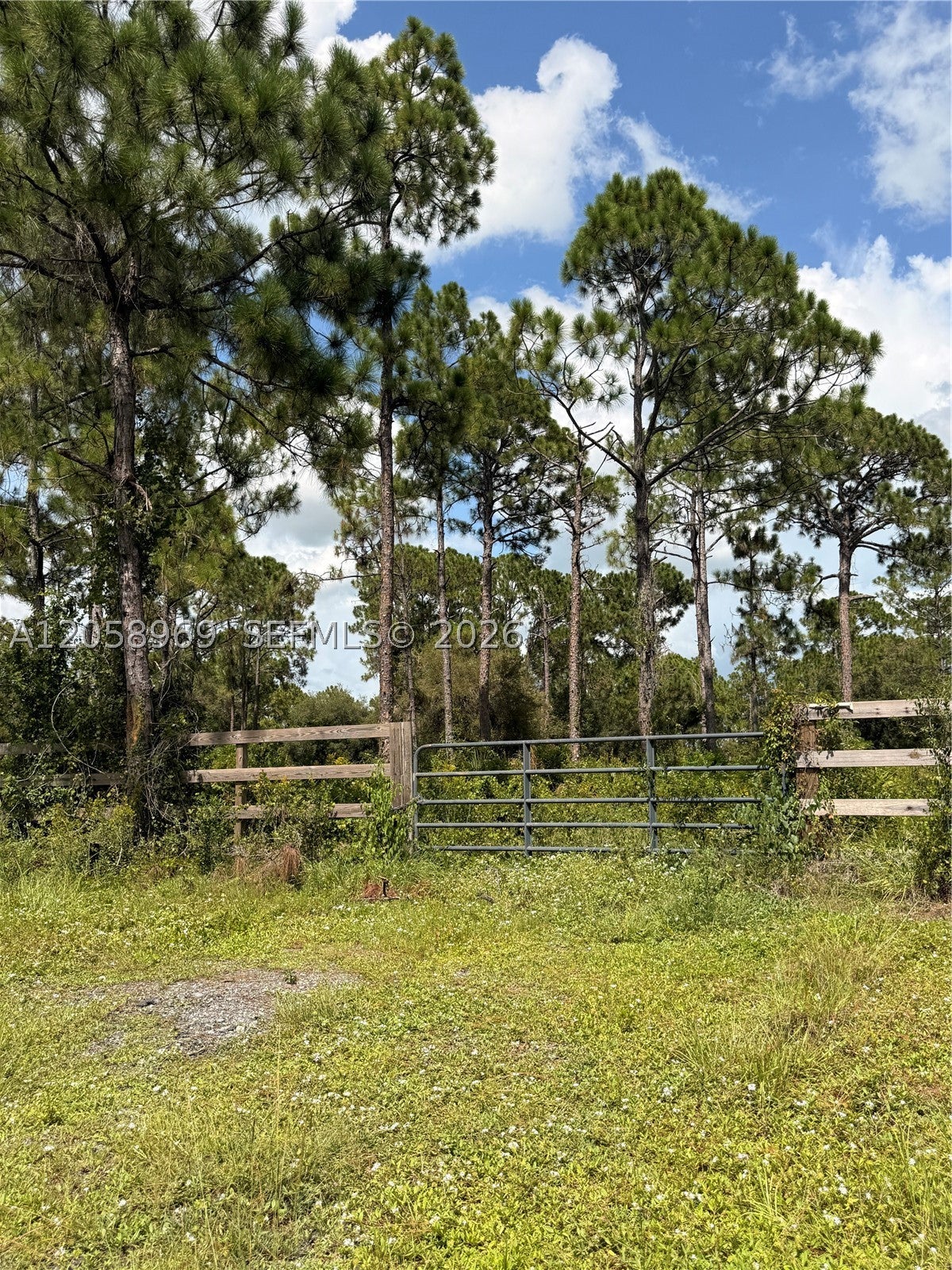 View photos, virtual tours, details... 365 N Zambria St