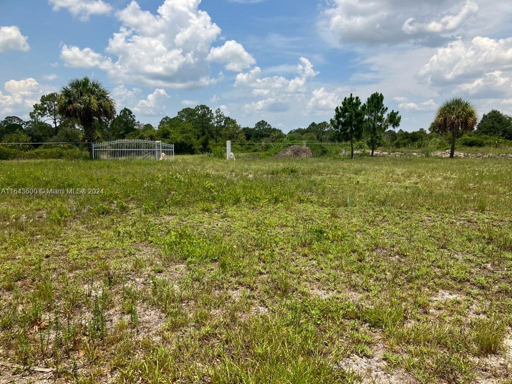 Build your dream home on this expansive lot located on desirable S Live Oak St. in Clewiston. This versatile property offers endless possibilities, whether you envision constructing your dream house or installing a mobile home. Just 65 miles from Weston and 90 miles from Miami, it’s the perfect weekend retreat or an ideal spot to embrace a farm lifestyle with your animals. Montura Ranch Estates provides a unique camp-style experience. Visit the property at your convenience, and for more details, please call or text me. The seller is highly motivated, making this an opportunity you don’t want to miss!