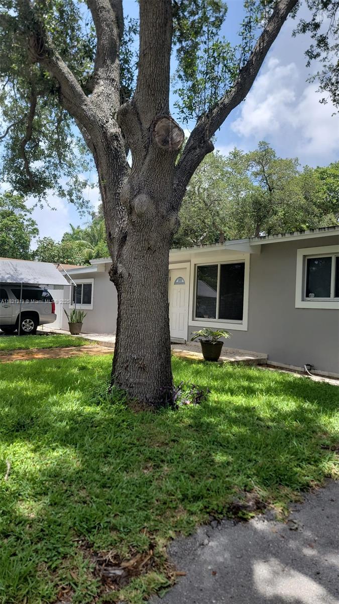 This one-bedroom suit unit is located on a very quiet street, only local traffic.
It has one bedroom suite + living room + kitchen + laundry and a private patio.
Close to I 95, two blocks south from West Hallandale Beach Blvd. There is public transportation.
It's located 15 minutes to the beach,10 minutes to the Aventura Mall and Gulfstream Shops, Casino and Horse track. This unit can be rented fully furnished or partially furnished; it also can be rented without any furniture.
