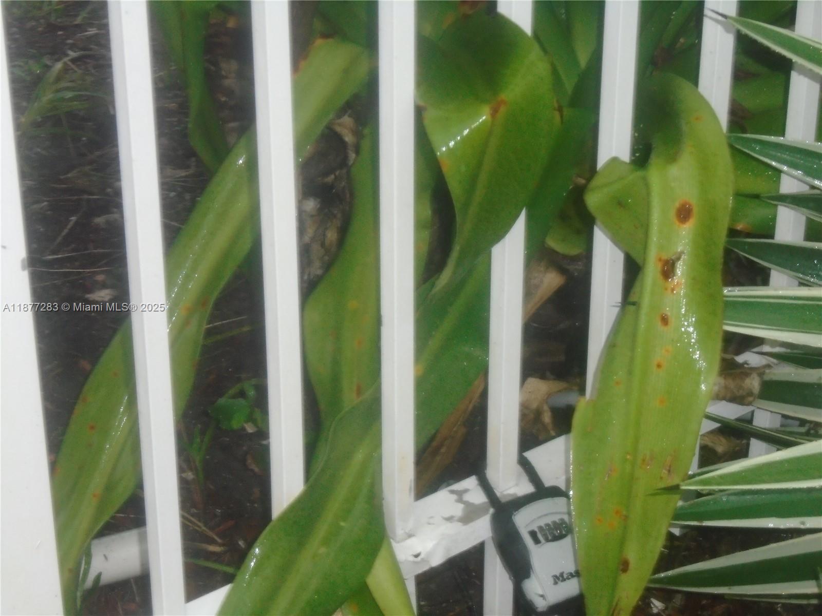 ENVIRON I CONDO 5 & 6 - Residential