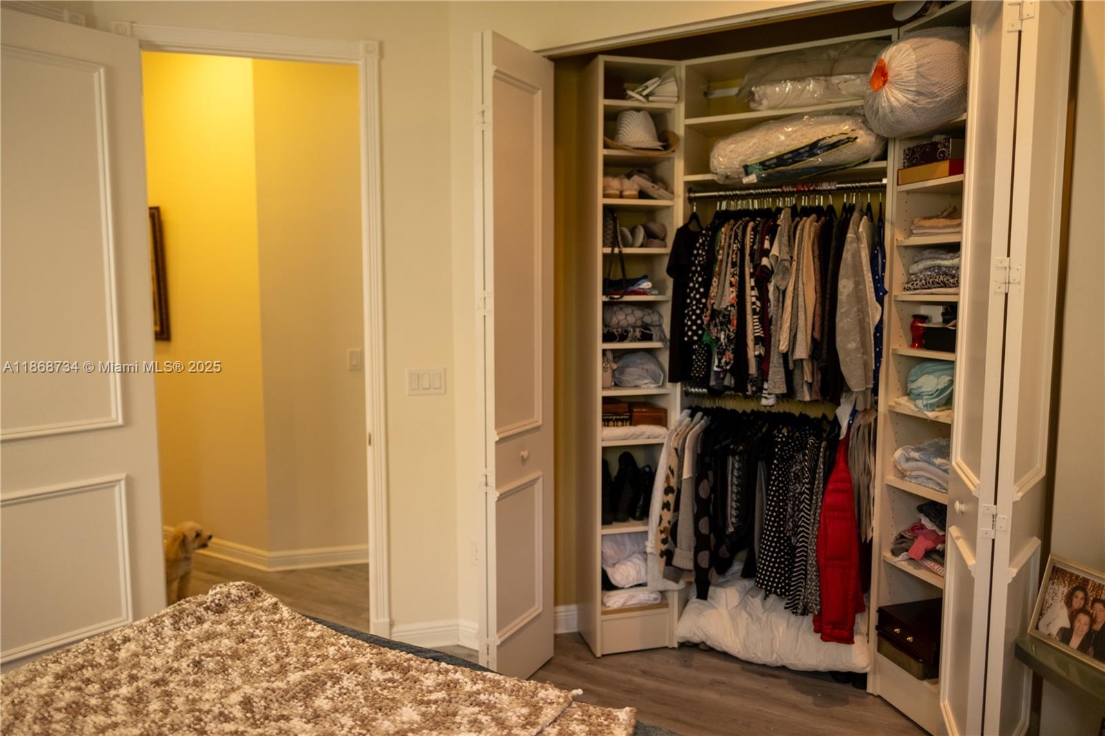 BUENA VIDA - Residential Lease