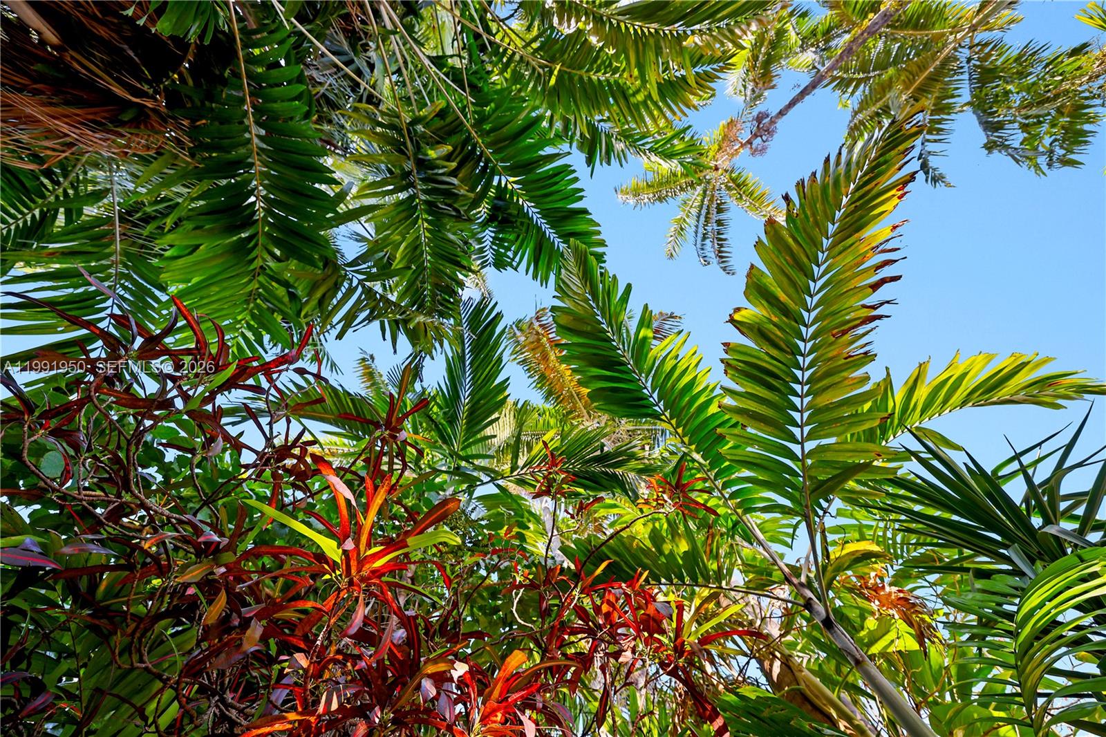 View photos, virtual tours, details...