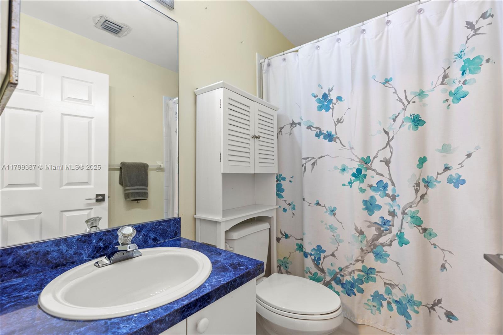 REGENCY LAKES AT COCONUT - Residential