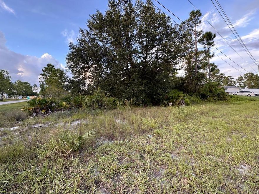 Excellent CORNER lot in fast growing Lehigh Acres. Easy to clear and ready for you to build. Plenty of large 3/2 homes around the neighborhood. Seller Financing available.