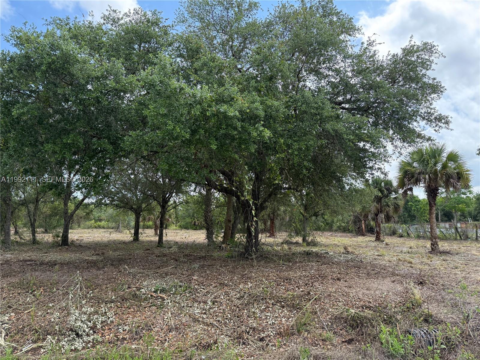 MONTURA RANCH ESTATES - Land