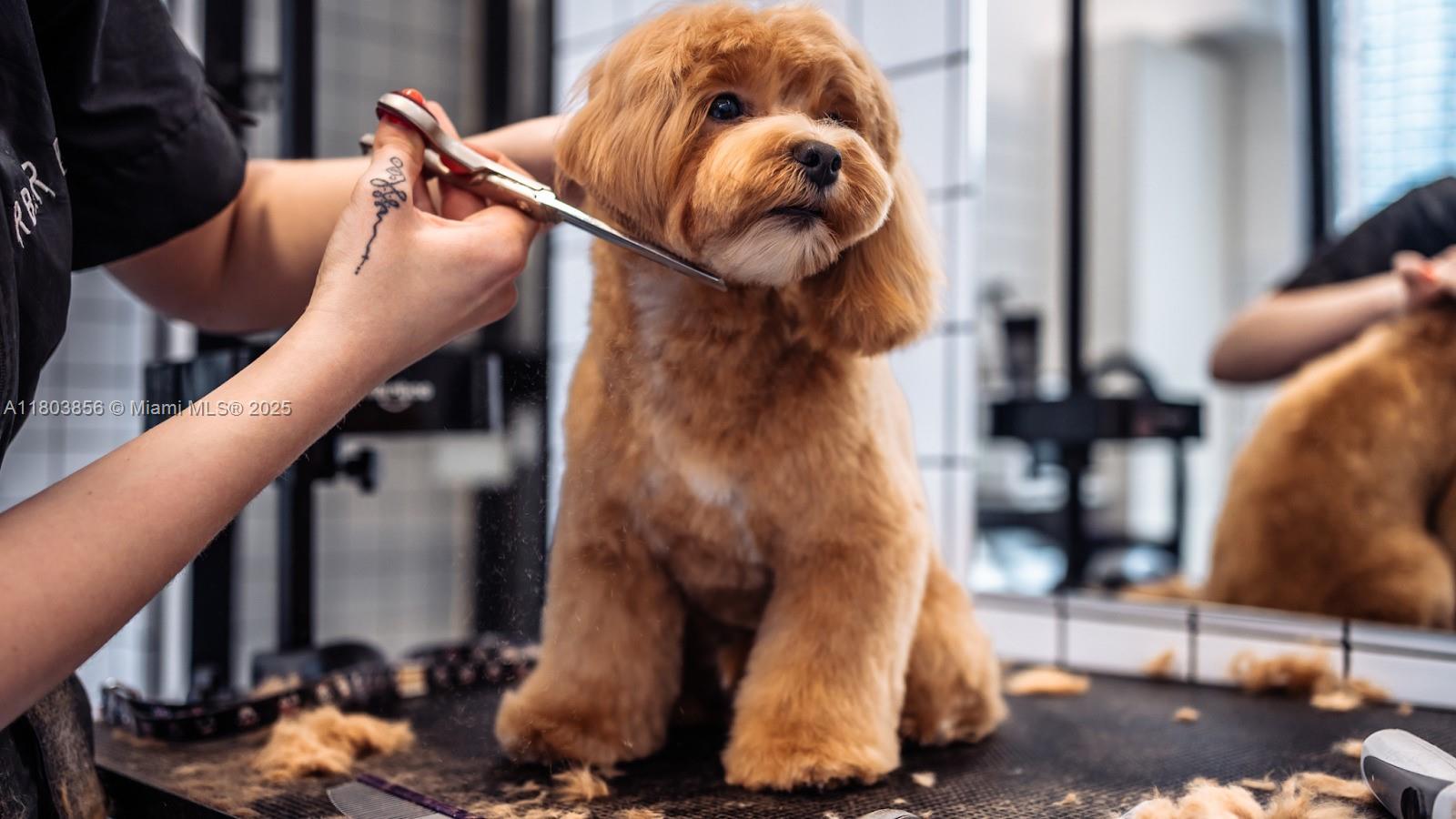 This turnkey business blends luxury pet grooming with a curated retail experience in a high-traffic lifestyle center. Backed by a nationally recognized brand, it offers strong revenue, loyal clientele, and a professionally trained team in place.
The boutique features spa-like grooming services, natural pet foods, gourmet treats, birthday cakes, toys, and wellness products. Its premium atmosphere and community-focused approach drive repeat business and stellar online reviews. A standout opportunity in a fast-growing industry, perfect for investors or hands-on operators seeking a scalable, resilient venture with real growth potential.
Strategically positioned near major tourist routes and residential areas, this location benefits from consistent foot traffic and year-round demand.