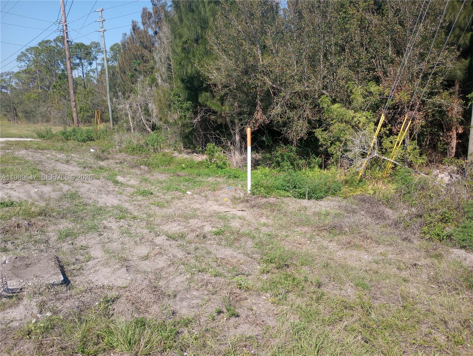  - Image 1