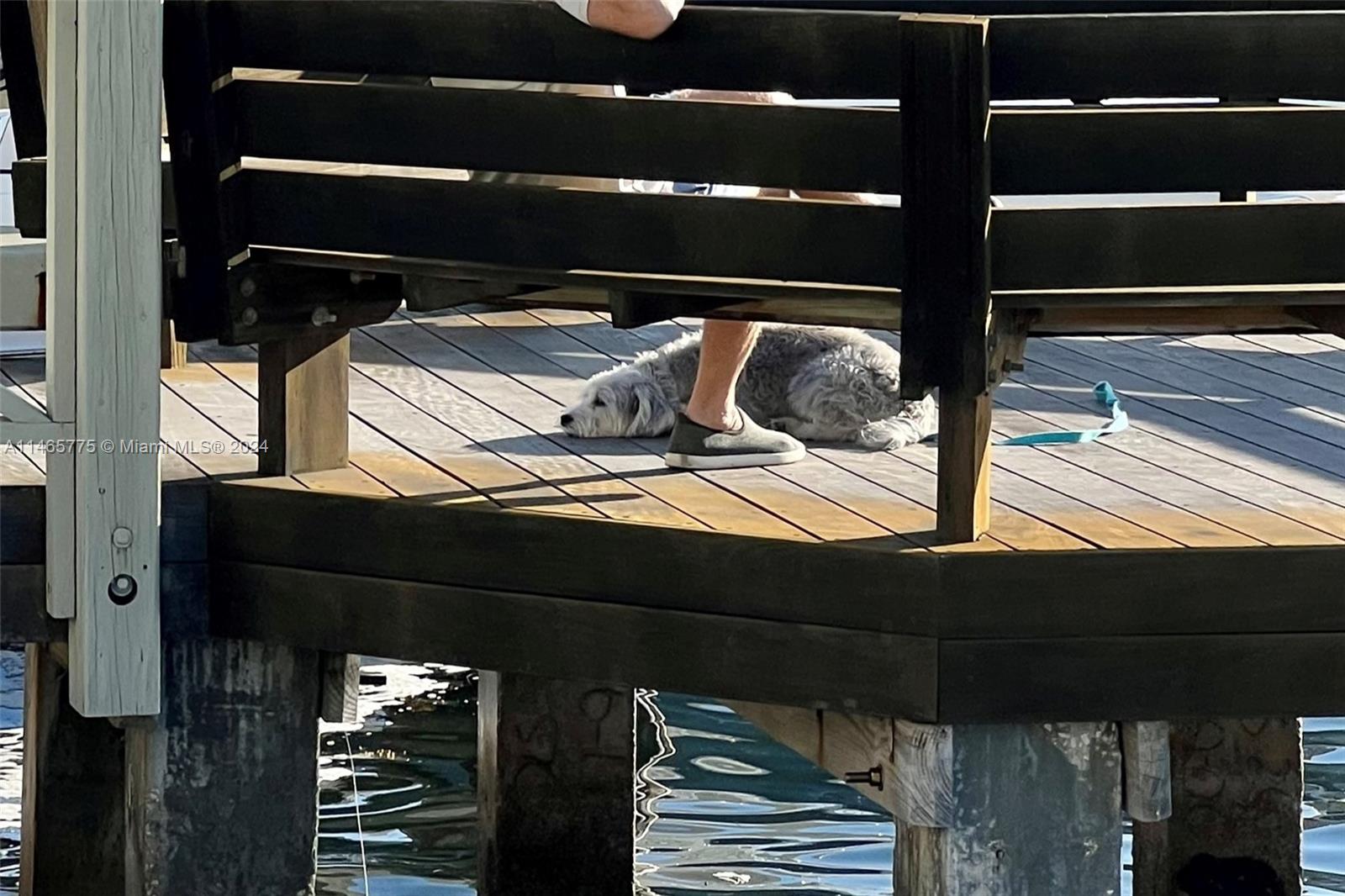 L HERMITAGE - Residential