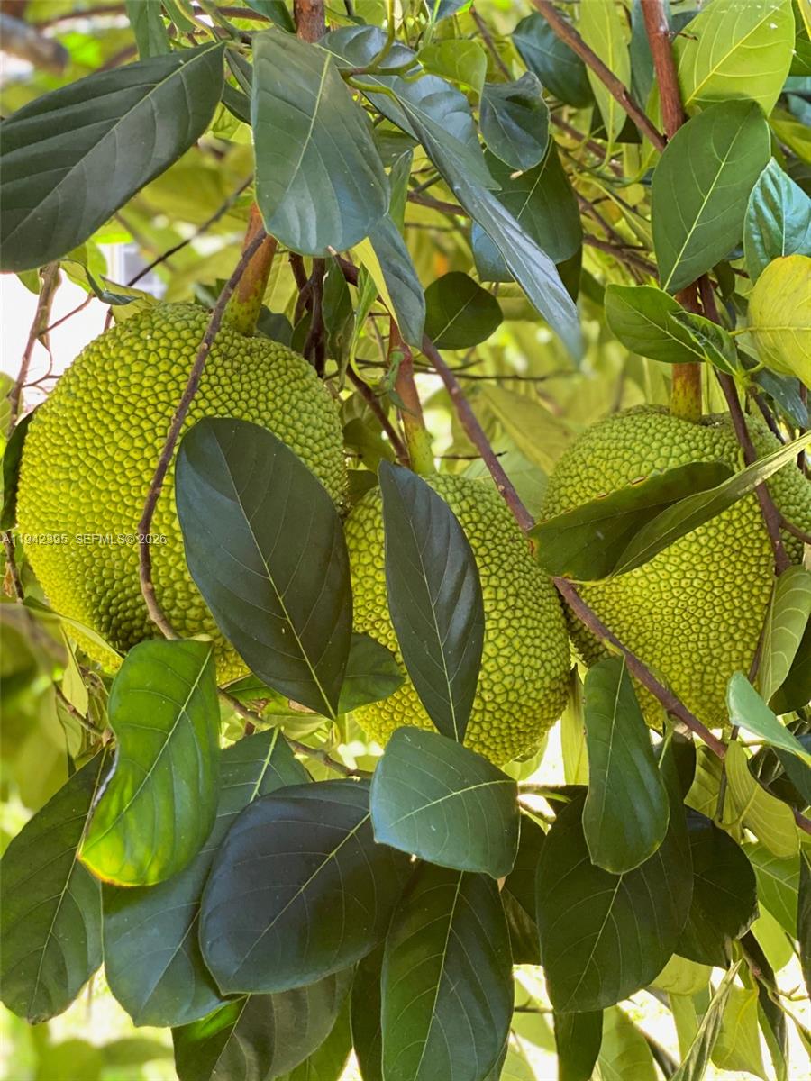 ESTATE MANSIONS - Residential