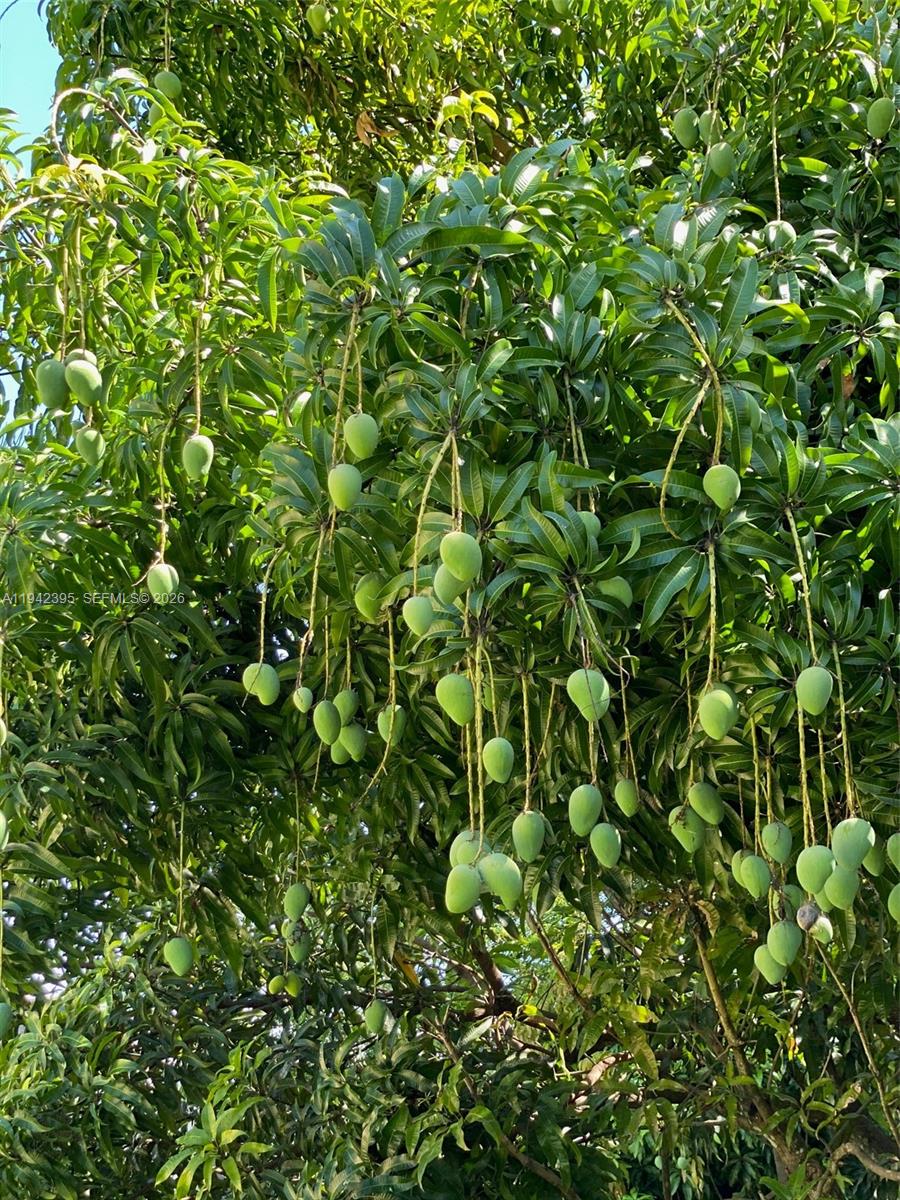 ESTATE MANSIONS - Residential