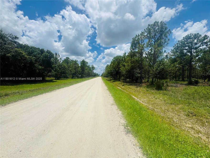 Discover 2.5 acres of peaceful country living in the heart of Pioneer Plantation! This high and dry lot is ready for your dream home, mobile home, or weekend retreat. With no HOA and plenty of room for animals, toys, or a garden, you can build the lifestyle you’ve always wanted. Enjoy open skies, privacy, and endless potential — all just a short drive from town.
Build now or hold as an investment this is Florida land you don’t want to miss!
