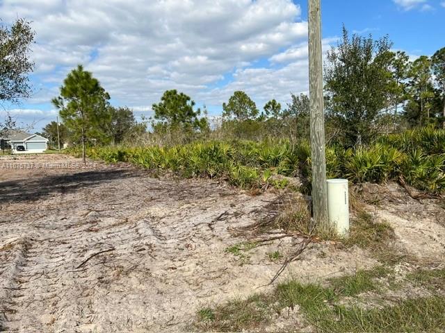 Location with great opportunity potential. Excellent location off a quickly developing Area with Shopping Centers & Restaurants. Build your dream home with other new construction homes being built in the area. Just a short drive to Fort Myers and beaches!